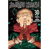 Amazon | Jujutsu Kaisen, Vol. 30 | Akutami, Gege | Fantasy